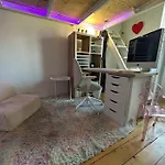 Charming Central Flat In Geneva Chene-Bourg