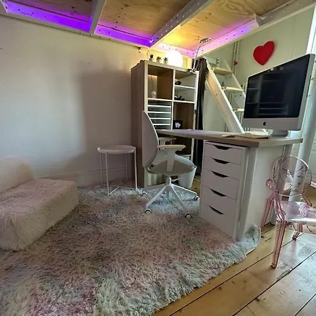 Charming Flat In Chene-bourg * Genève