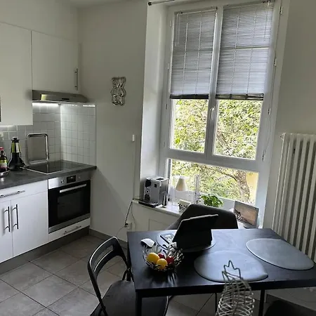 Charming Flat In Chene-bourg * Genève