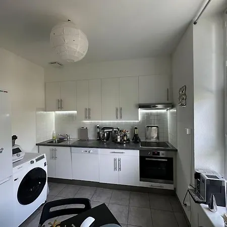 Charming Flat In Chene-bourg Genève