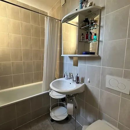 Charming Flat In Chene-bourg *